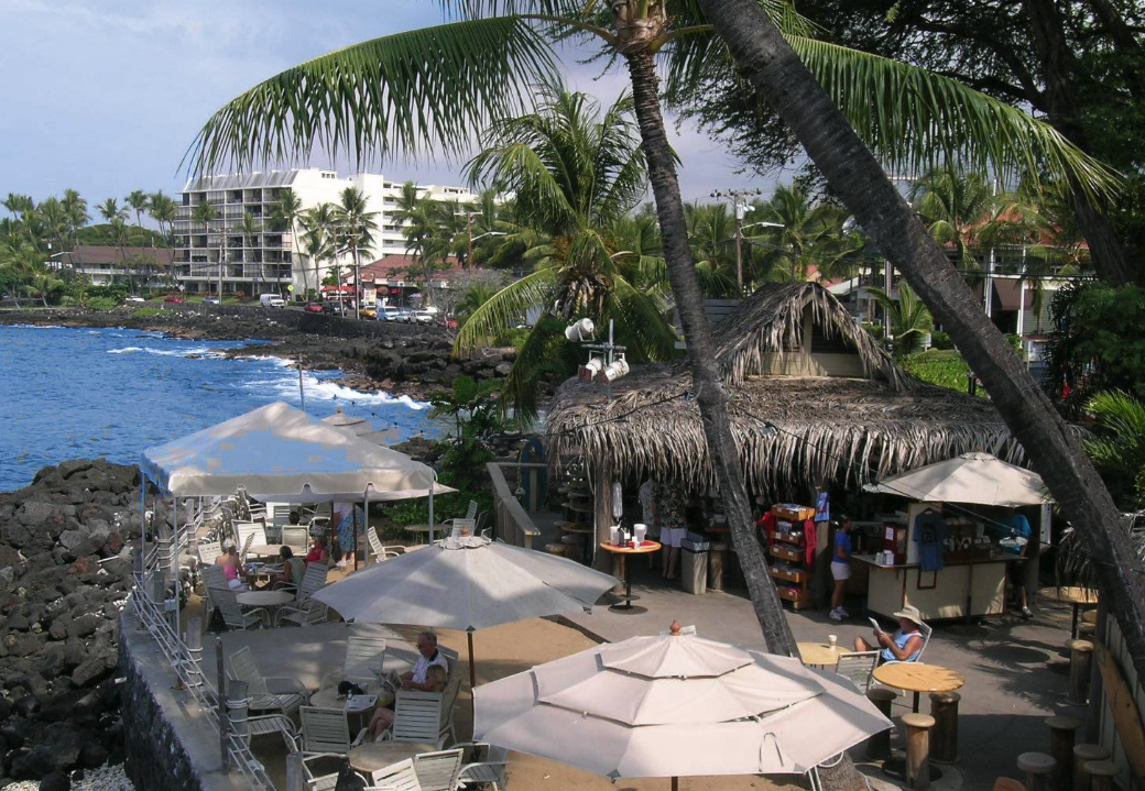 Beachside restaurant with thatched roof surrounded by palm trees and umbrellas overlooking the ocean